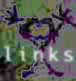 pj links