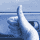 thumbs up